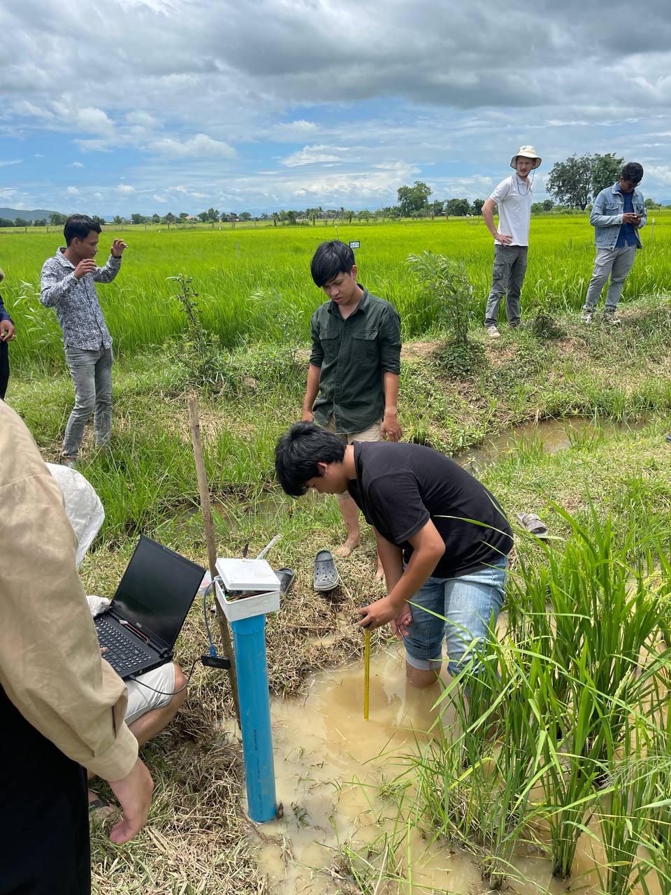 Water-monitoring device being examined in a rice field